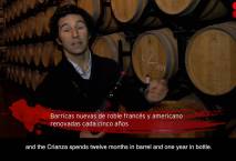 Bodega Martín Berdugo: Our hopes and dreams made into wine.